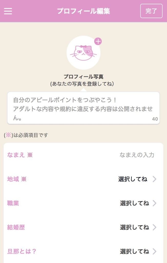 ベリーのプロフィール入力画面