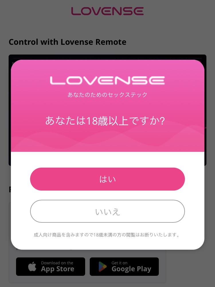 年齢確認画面(画像)