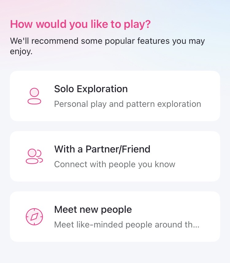 アプリのセットアップ画面②