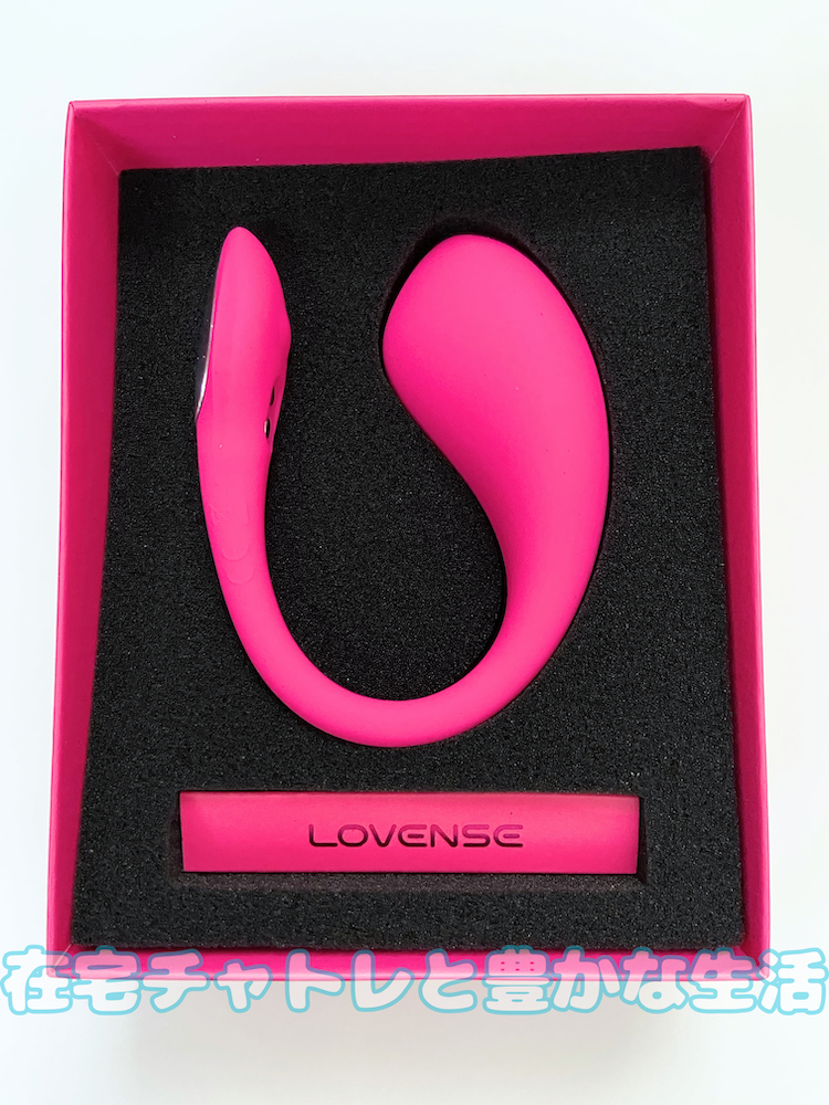 ラブンスLush4開封時の梱包(画像)